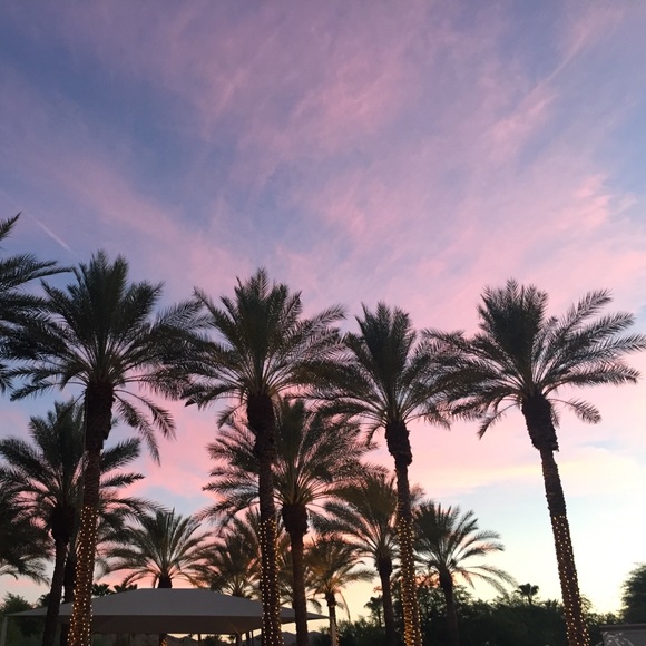 Meet your Posher, Hannah - Picture 1 of 1